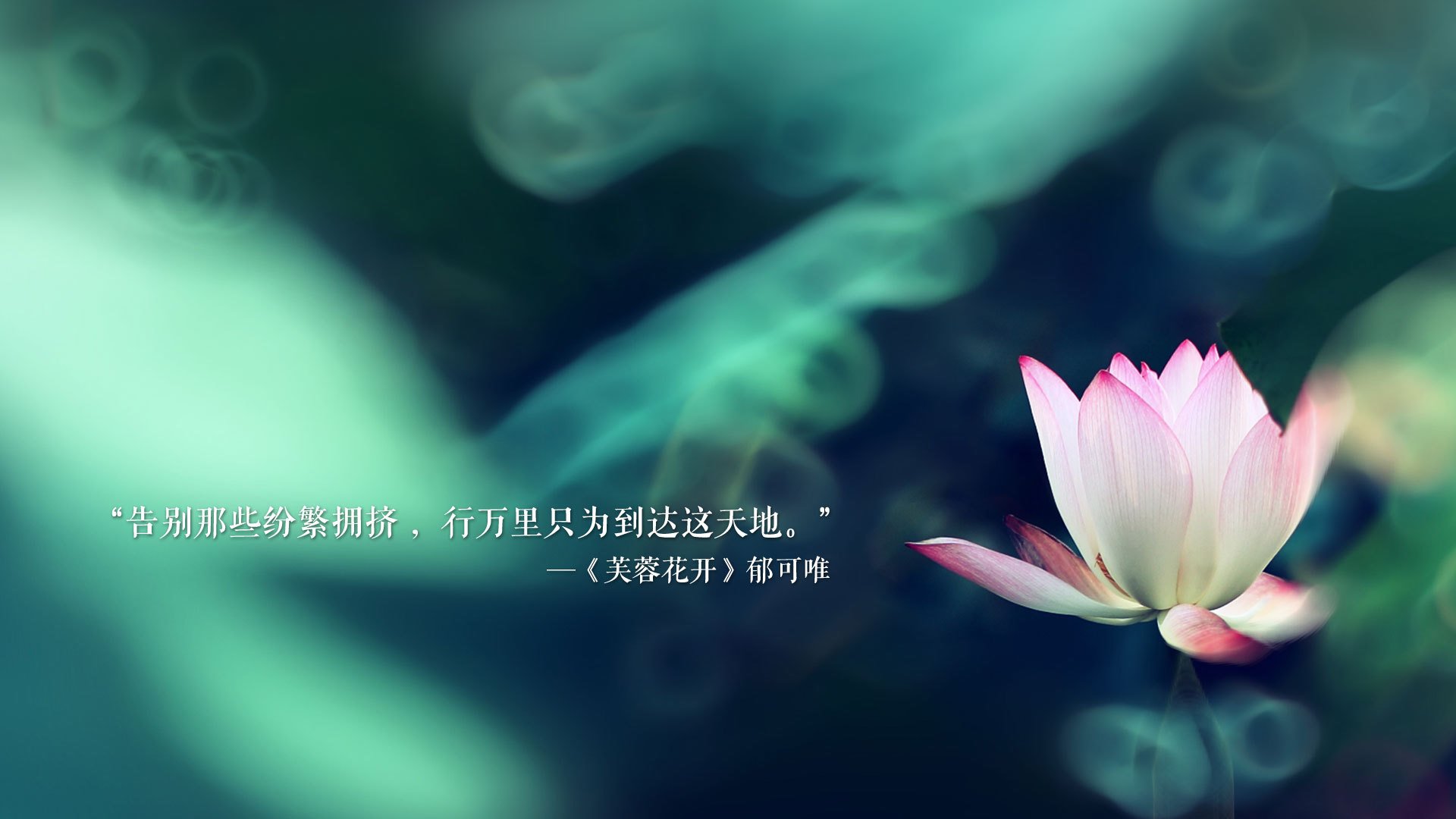 “青少年足球文化节热烈举行，推广体育精神”，青少年足球宣传文案