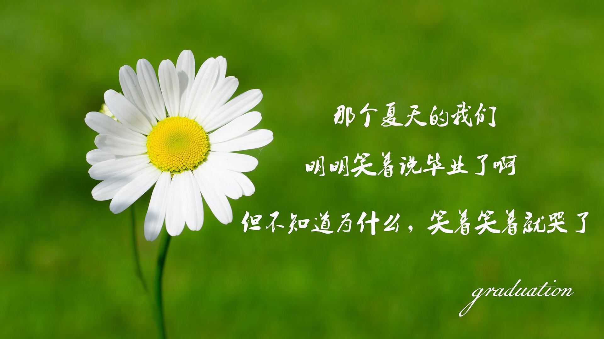 《电竞主播新宠：多平台多角色引领内容新潮流》，电竞主播是干什么的