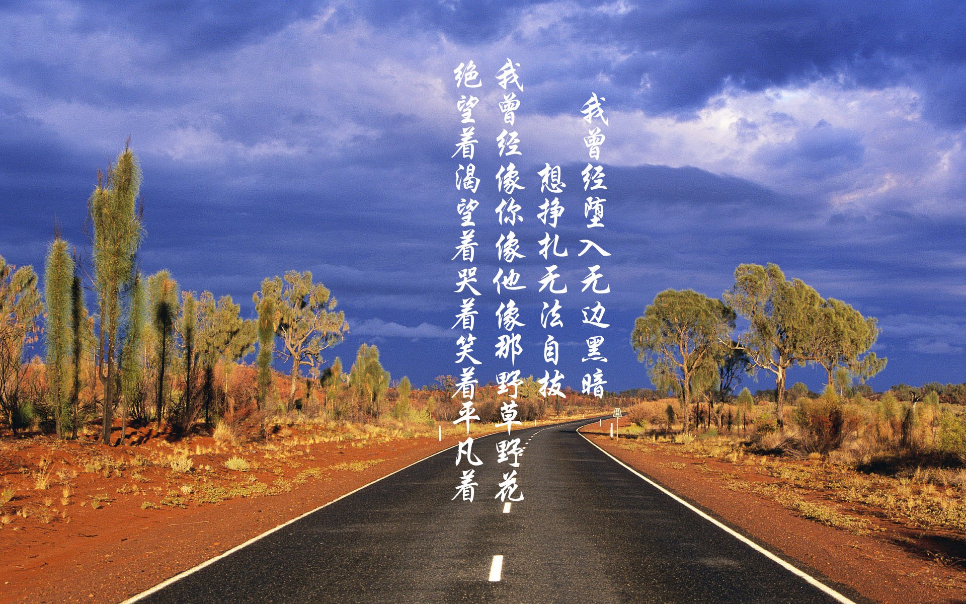 马尔科斯·达尔梅达在2024年南美锦标赛中以完美的30分收尾，赢得冠军