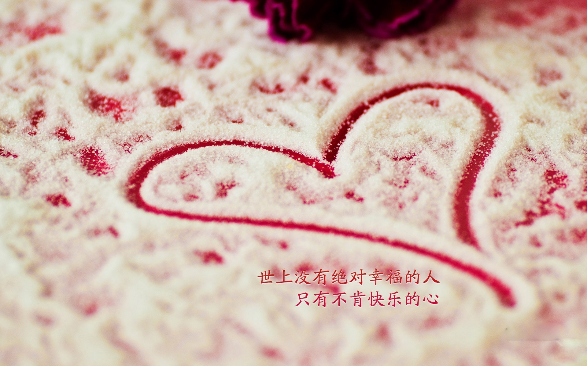 TL备战世界赛全力以赴，全力以赴备战比赛