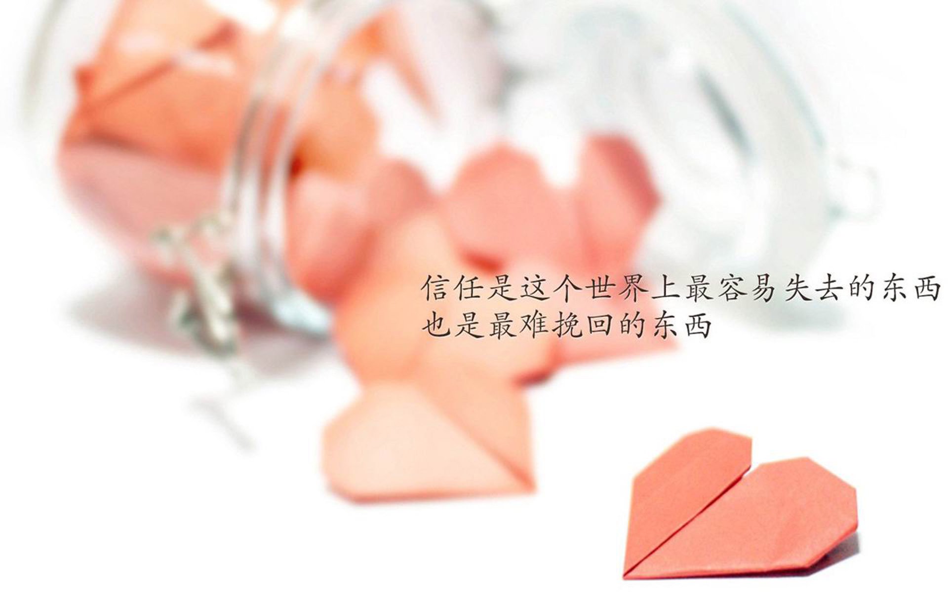 右边锋身手不凡！球员纪录片发布，球迷直呼过瘾，右边路球员