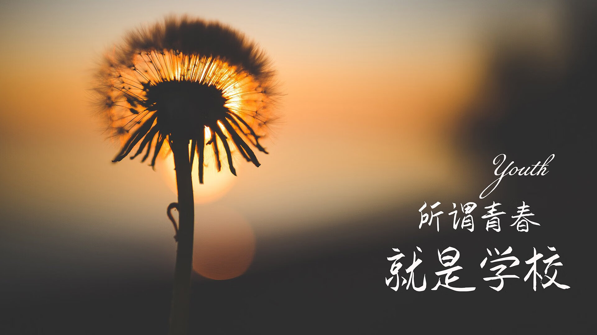 是否应设立球员家庭教育指导服务
