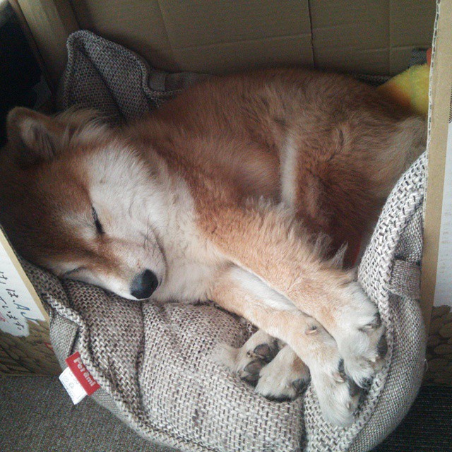 中国足球职业联赛俱乐部财务透明度进一步提升，中国足球俱乐部盈利