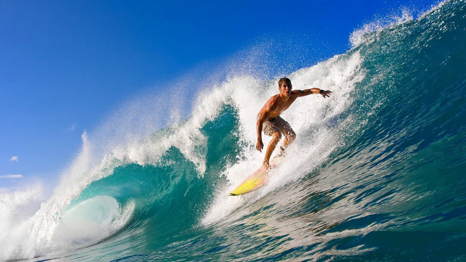 意甲队伍注重全方位建设,职业化水平提升,意甲联赛队伍
